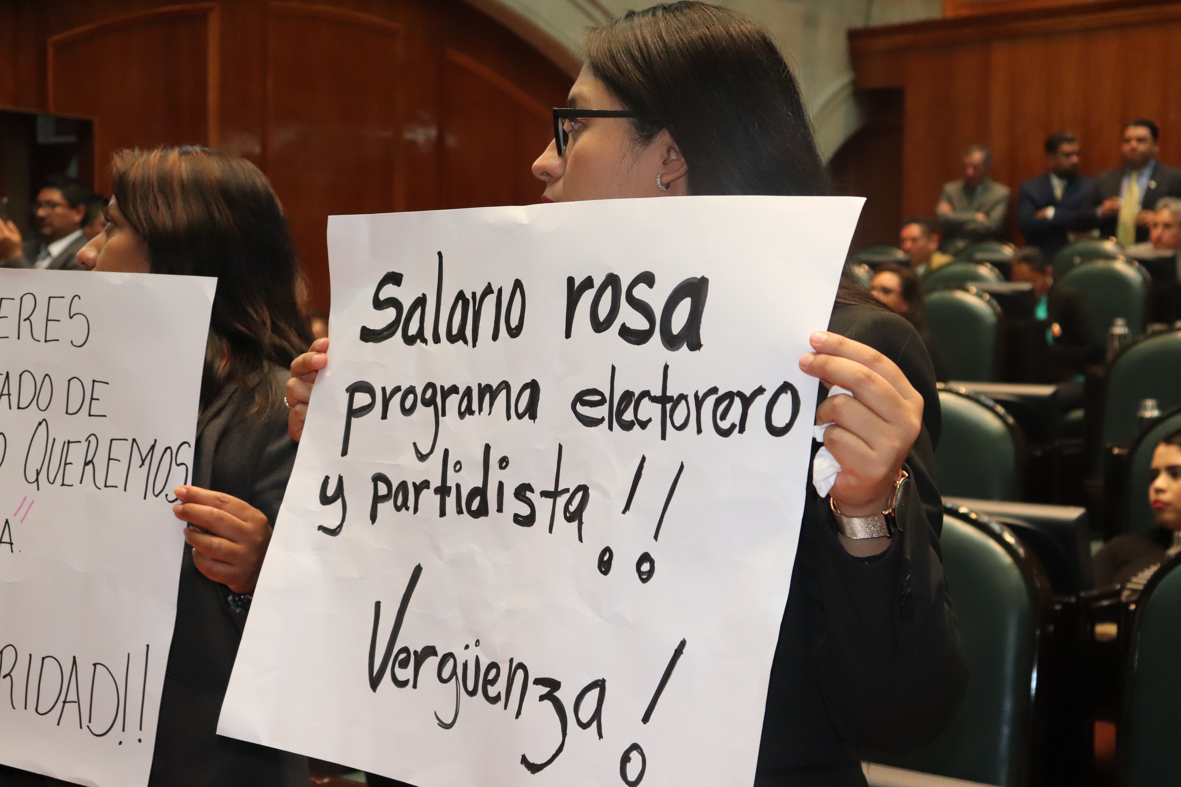 Salario Rosa, estrategia clientelar: diputados