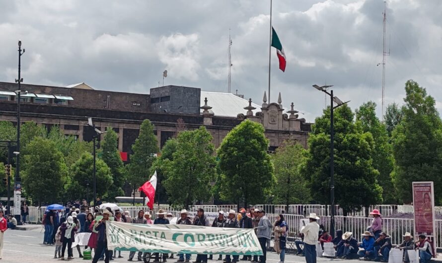 Crisis forestal amenaza agua del Cutzamala