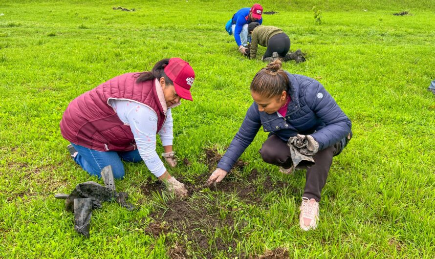Mil 500 árboles para enfriar y sanar