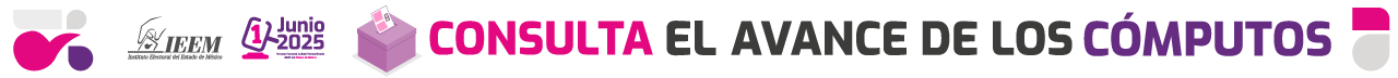 Consulta de Avances IEEM