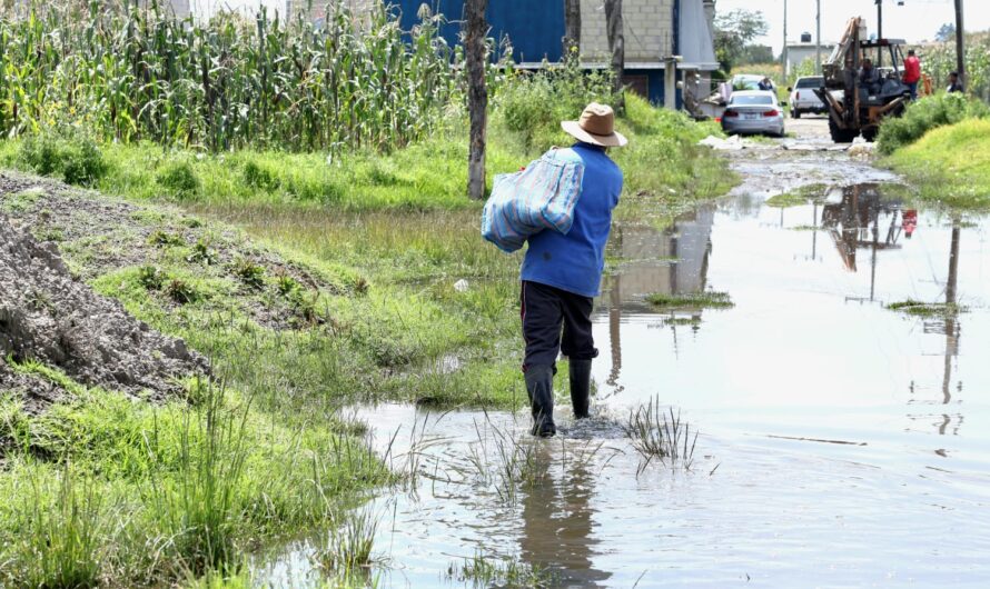 Toluca pide frenar basura para evitar inundaciones