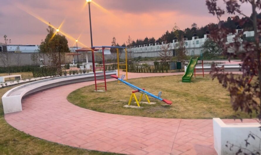 Transforman la avenida Antonio Pliego