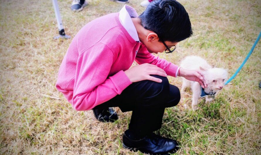 Edomex aplica acompañamiento canino en odontología infantil