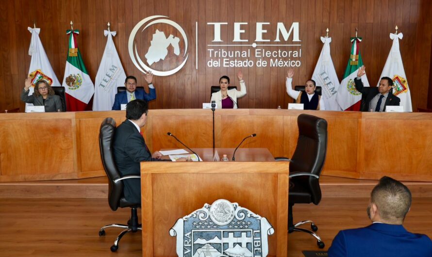 TEEM niega violencia política y sanciona perfiles de Facebook