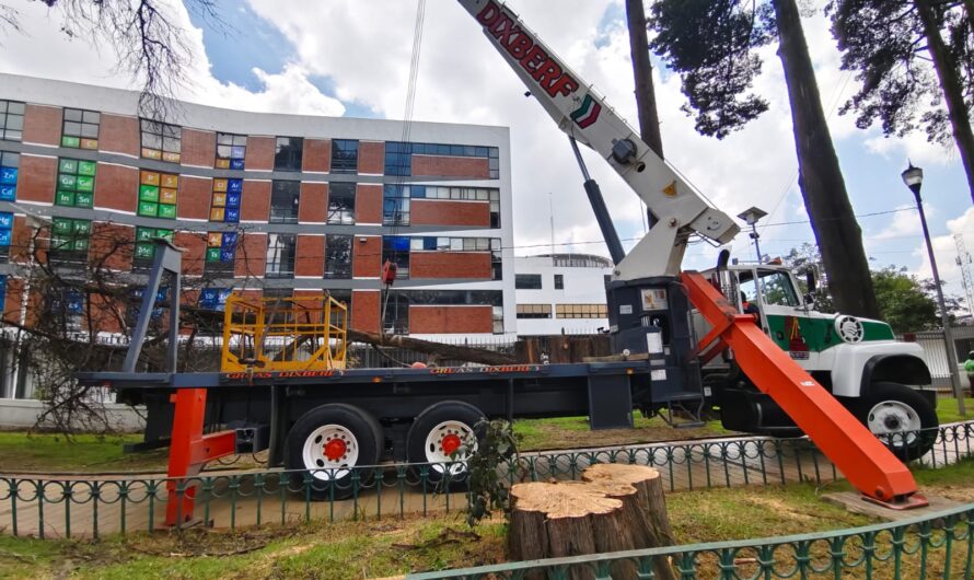 Entre dictámenes y reclamos, inicia derribo en Paseo Colón
