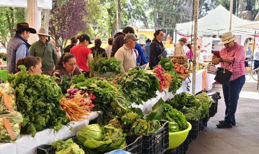 Zinacantepec abre espacio al campo y a la artesanía