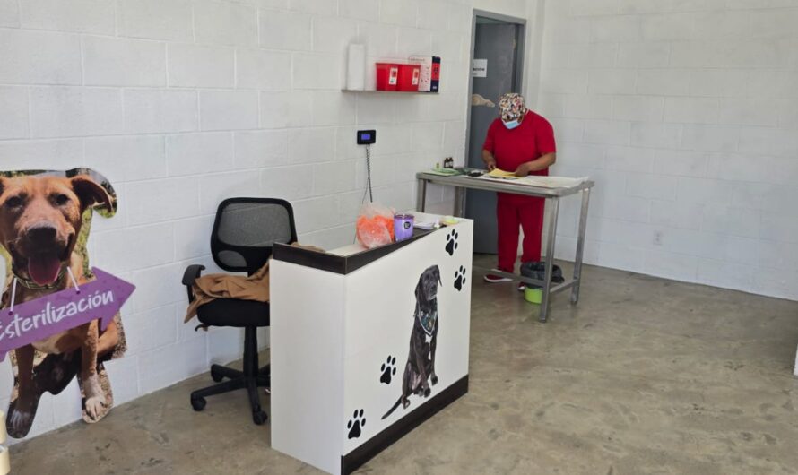 Toluca suma 23 mil 500 esterilizaciones